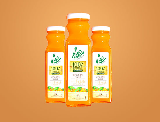 Projects Portfolio Image 11 Free Img